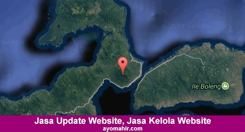 Jasa Update Website, Jasa Kelola Website Murah Flores Timur