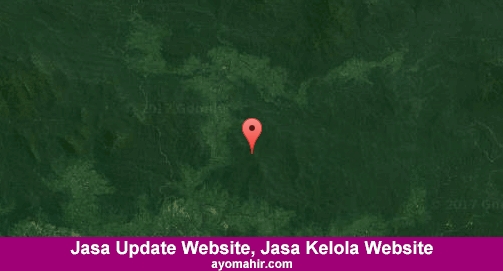 Jasa Update Website, Jasa Kelola Website Murah Sintang