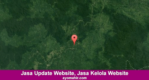 Jasa Update Website, Jasa Kelola Website Murah Melawi