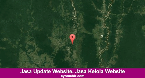 Jasa Update Website, Jasa Kelola Website Murah Kapuas