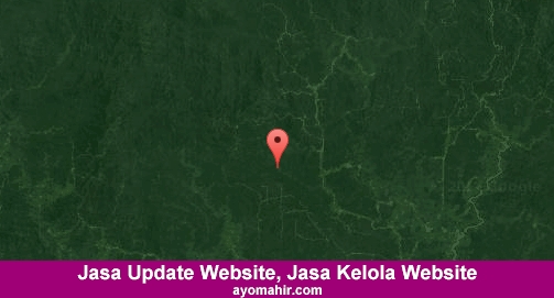 Jasa Update Website, Jasa Kelola Website Murah Katingan