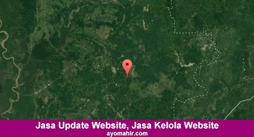 Jasa Update Website, Jasa Kelola Website Murah Barito Timur