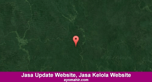Jasa Update Website, Jasa Kelola Website Murah Murung Raya