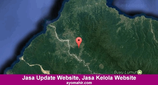 Jasa Update Website, Jasa Kelola Website Murah Tojo Una-una
