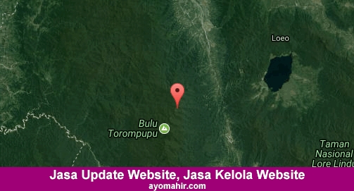 Jasa Update Website, Jasa Kelola Website Murah Sigi