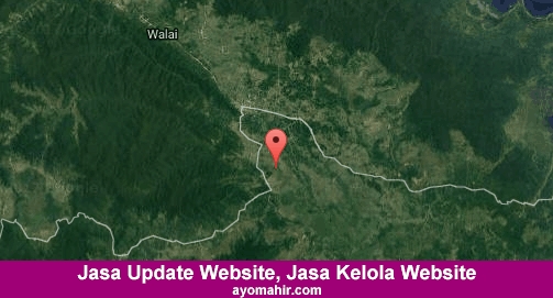 Jasa Update Website, Jasa Kelola Website Murah Konawe