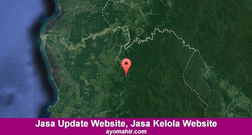 Jasa Update Website, Jasa Kelola Website Murah Mamuju Utara
