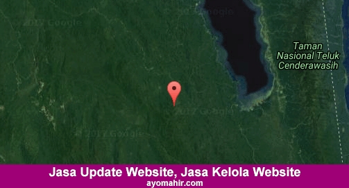 Jasa Update Website, Jasa Kelola Website Murah Teluk Wondama