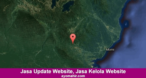 Jasa Update Website, Jasa Kelola Website Murah Manokwari Selatan