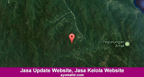 Jasa Update Website, Jasa Kelola Website Murah Pegunungan Arfak