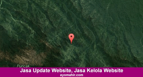 Jasa Update Website, Jasa Kelola Website Murah Pegunungan Bintang