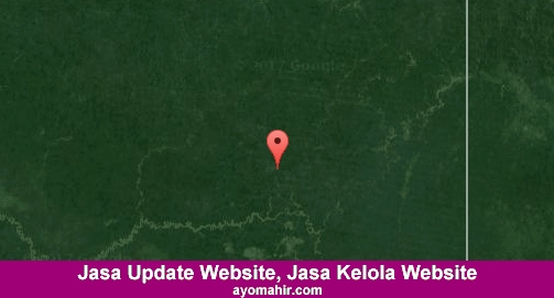 Jasa Update Website, Jasa Kelola Website Murah Keerom
