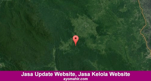 Jasa Update Website, Jasa Kelola Website Murah Aceh Timur