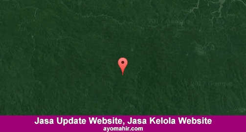 Jasa Update Website, Jasa Kelola Website Murah Mamberamo Raya