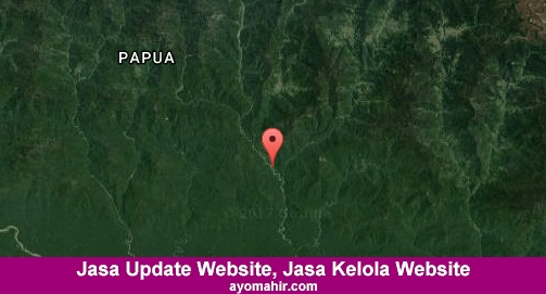 Jasa Update Website, Jasa Kelola Website Murah Nduga