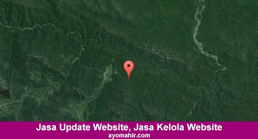 Jasa Update Website, Jasa Kelola Website Murah Yalimo