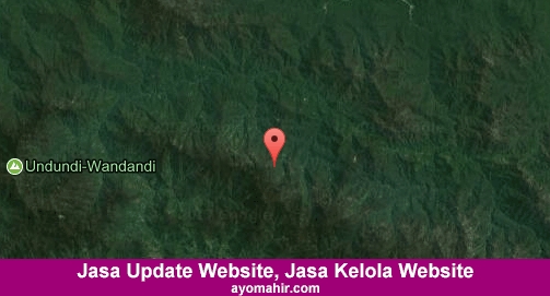 Jasa Update Website, Jasa Kelola Website Murah Intan Jaya
