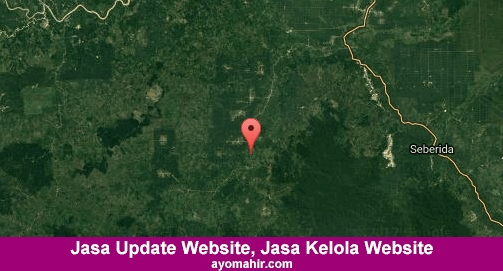 Jasa Update Website, Jasa Kelola Website Murah Indragiri Hulu