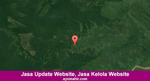 Jasa Update Website, Jasa Kelola Website Murah Indragiri Hilir