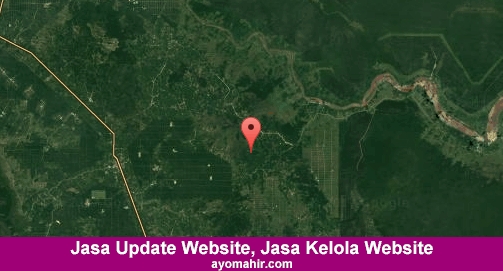 Jasa Update Website, Jasa Kelola Website Murah Pelalawan