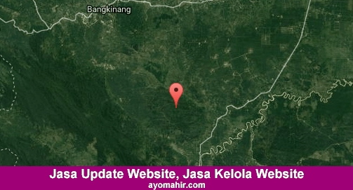 Jasa Update Website, Jasa Kelola Website Murah Kampar