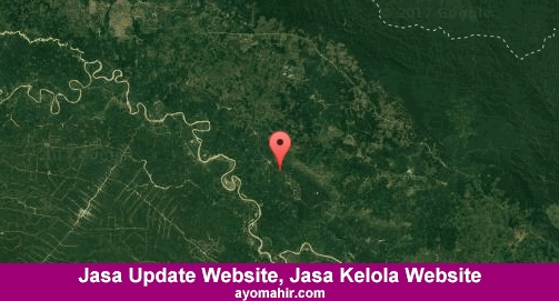 Jasa Update Website, Jasa Kelola Website Murah Tebo