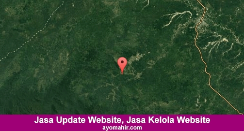 Jasa Update Website, Jasa Kelola Website Murah Bungo